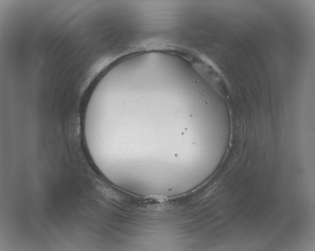 X0000063451461200602101636