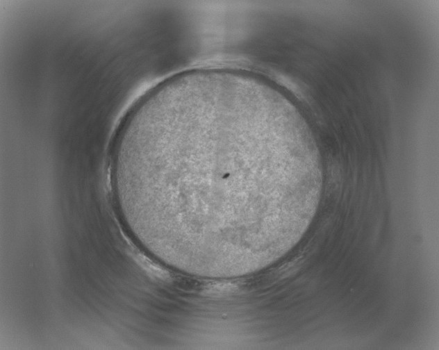 X0000063451462200602101636