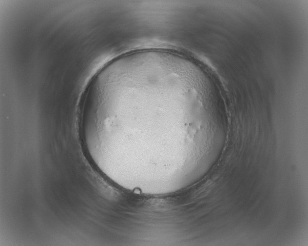 X0000063451463200602101636