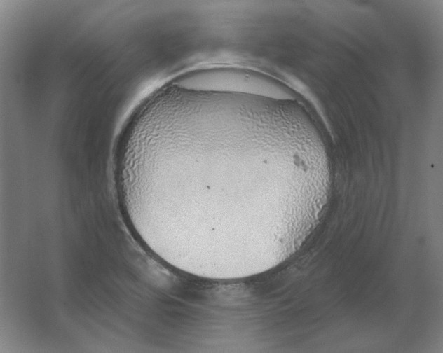 X0000063451464200602101636