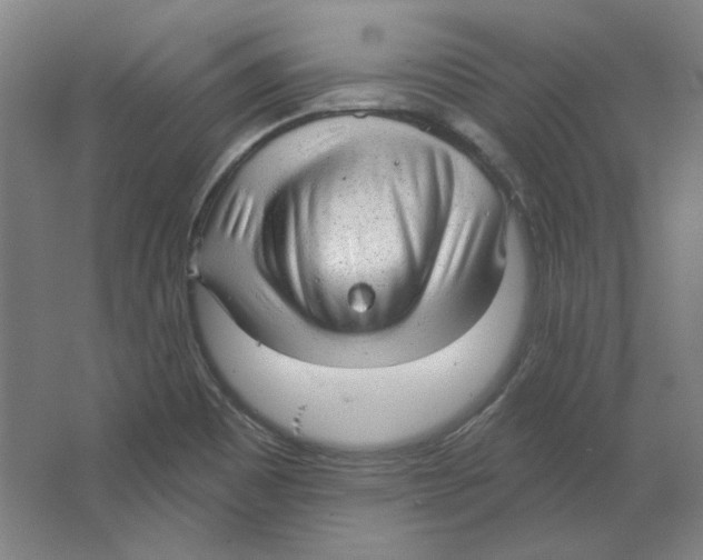 X0000063451465200602101636