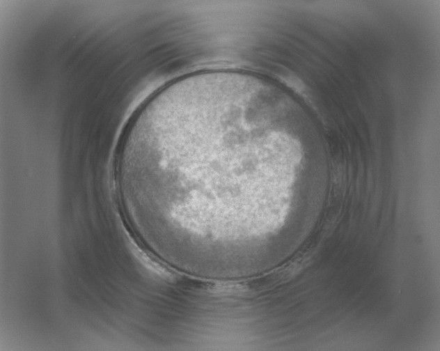 X0000063451466200602101636