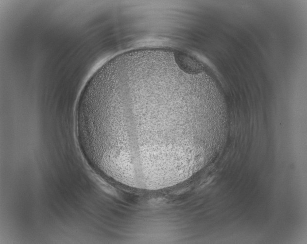 X0000063451467200602101636