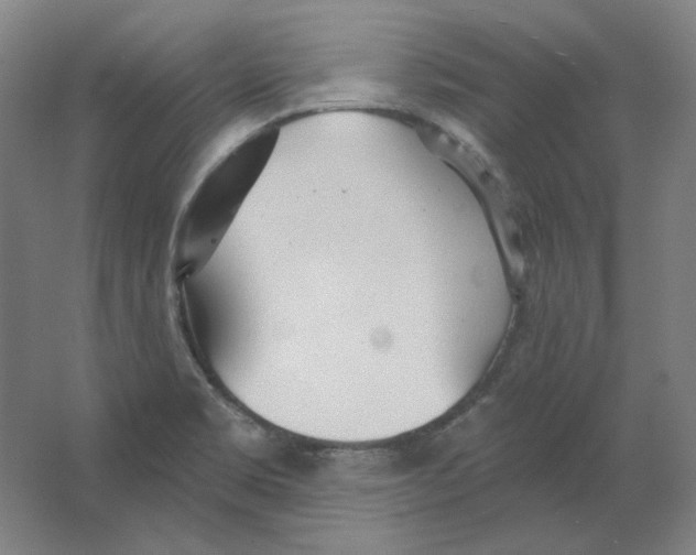 X0000063451469200602101636