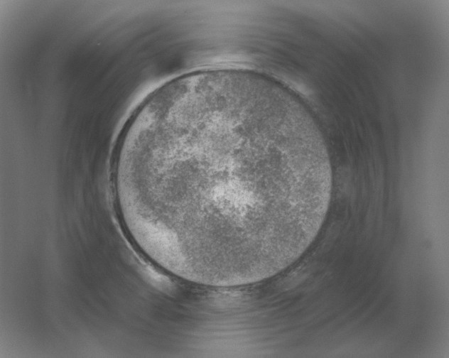 X0000063451470200602101636