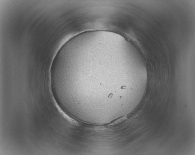 X0000063451479200602101635