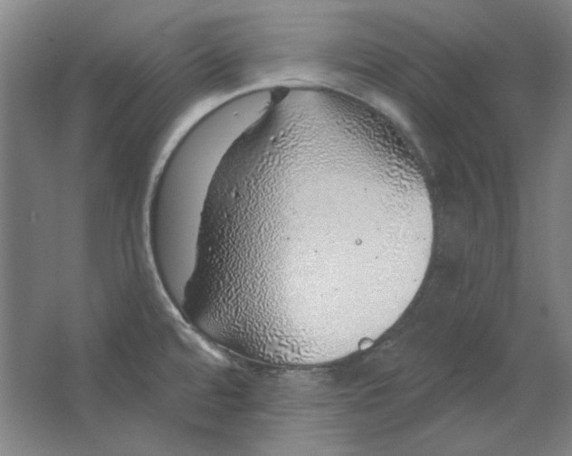 X0000063451480200602101635