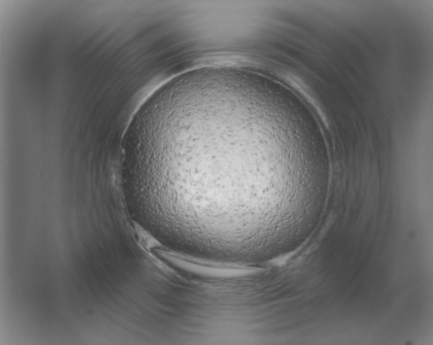 X0000063451481200602101635