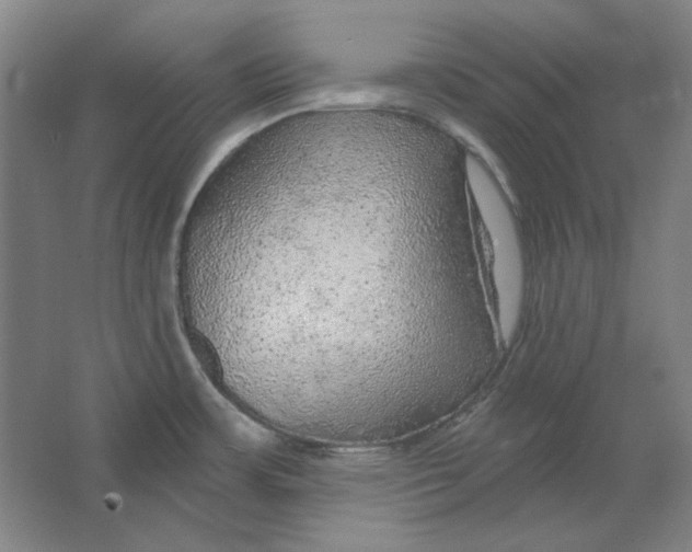 X0000063451483200602101635