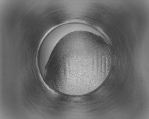 X0000063451484200602101635