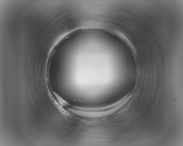 X0000063451485200602101635