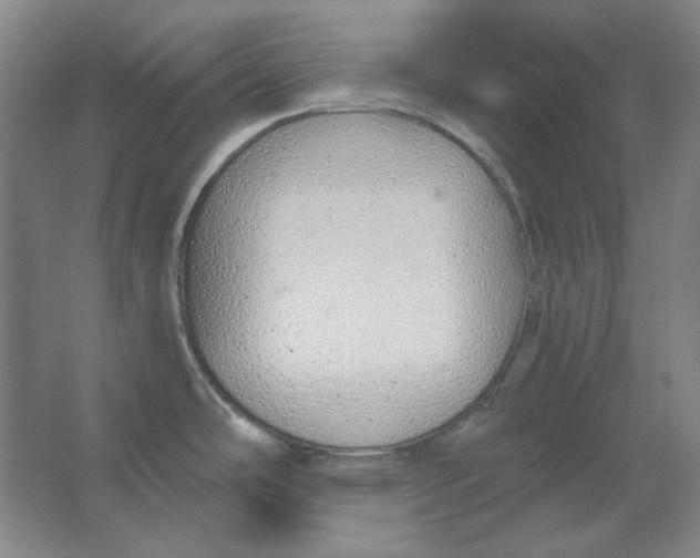 X0000063451486200602101635