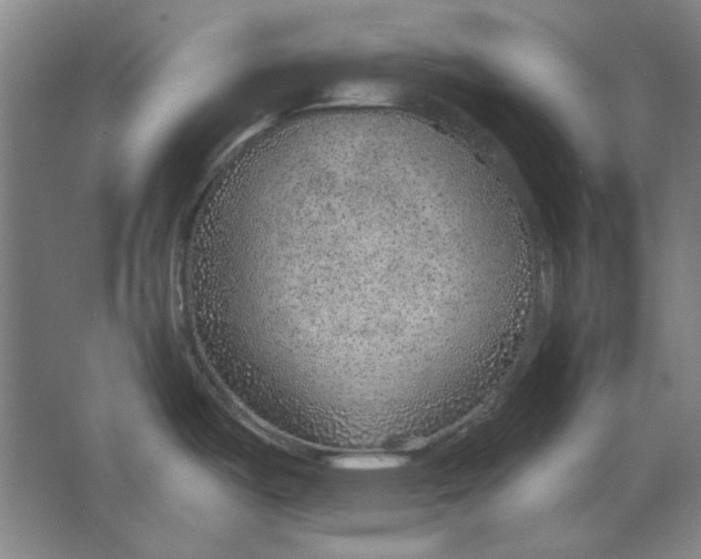 X0000063451487200602101635