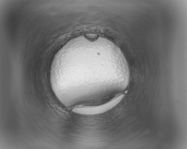 X0000063451489200602101634