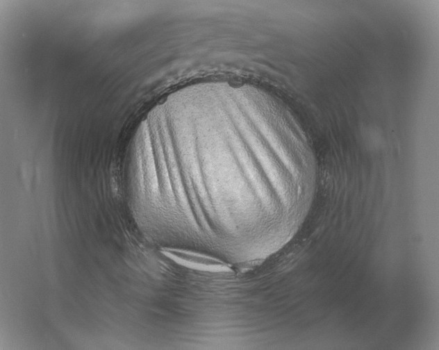 X0000063451490200602101634