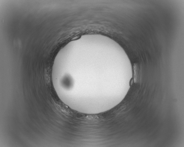 X0000063451491200602101634