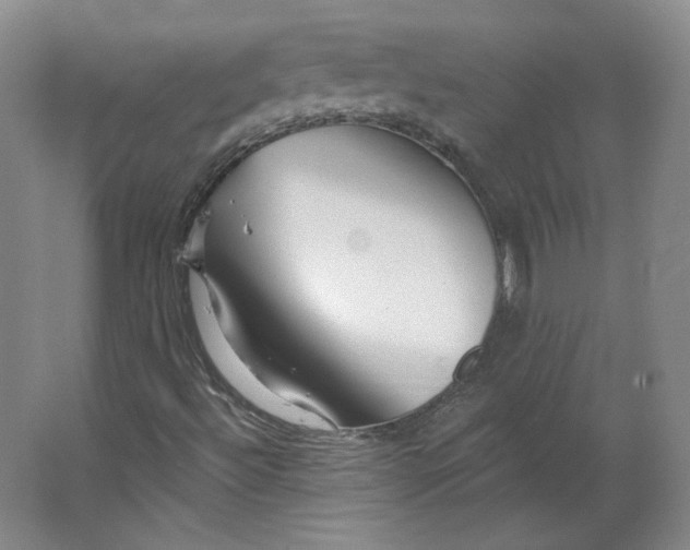 X0000063451492200602101634