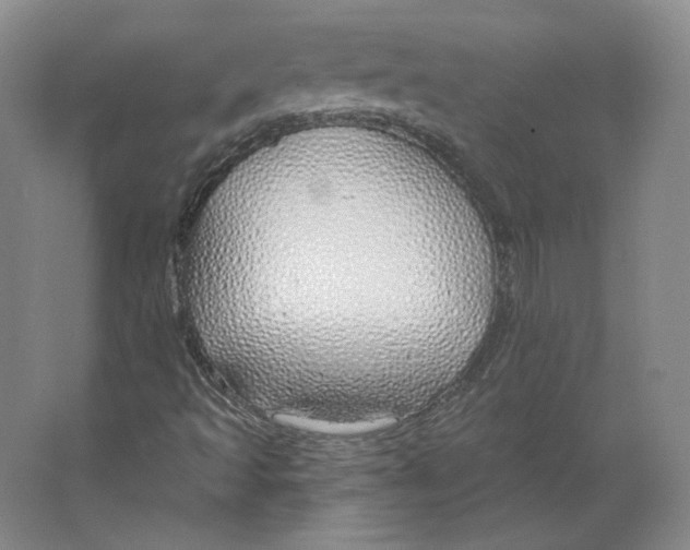 X0000063451493200602101634