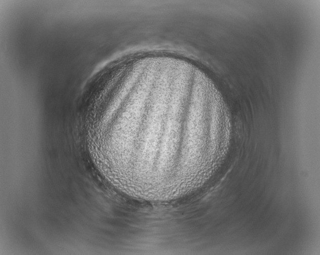 X0000063451494200602101634