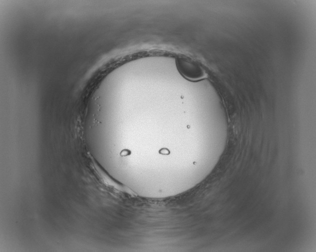 X0000063451495200602101634