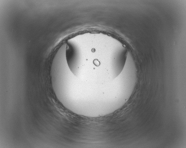 X0000063451496200602101634