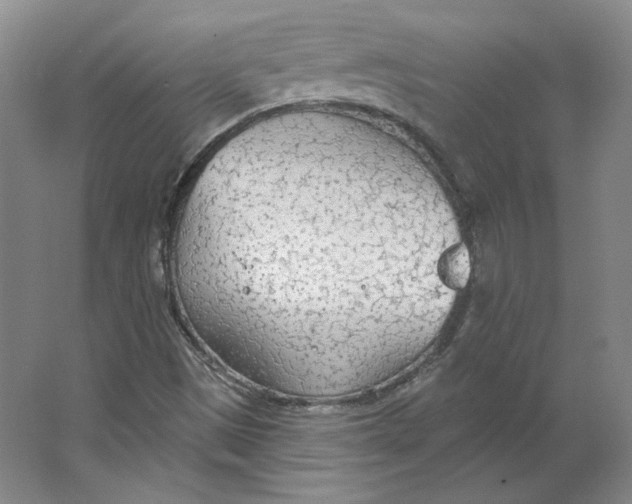 X0000063451497200602101635