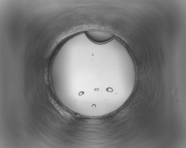 X0000063451499200602101635