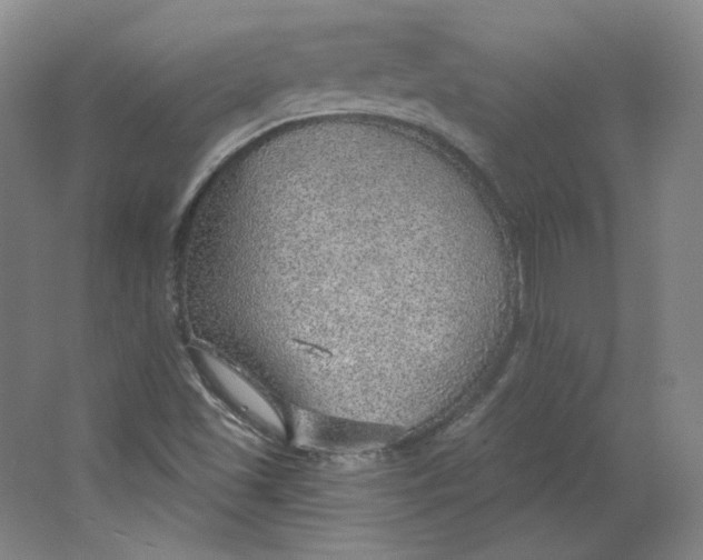 X0000063451501200602101635