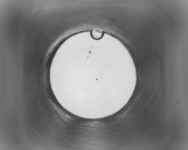 X0000063451502200602101635