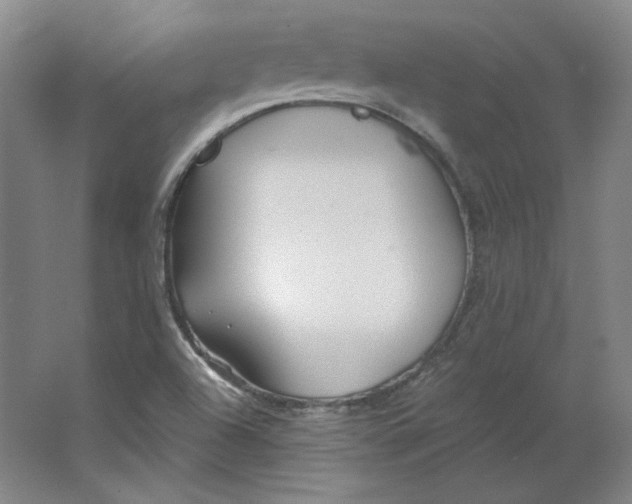 X0000063451504200602101635