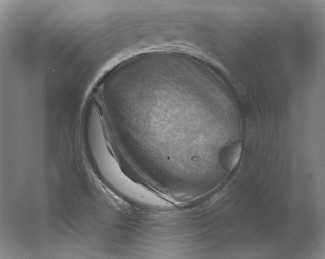 X0000063451506200602101635