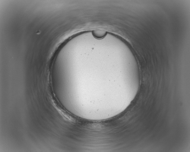 X0000063451507200602101635