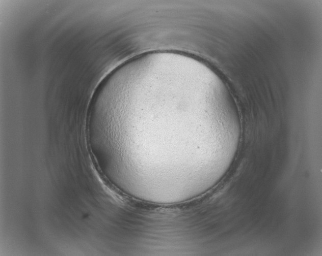 X0000063451513200602101635