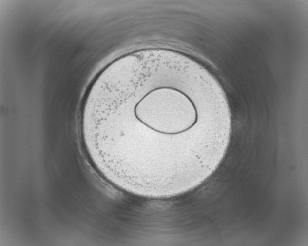 X0000063451514200602101635