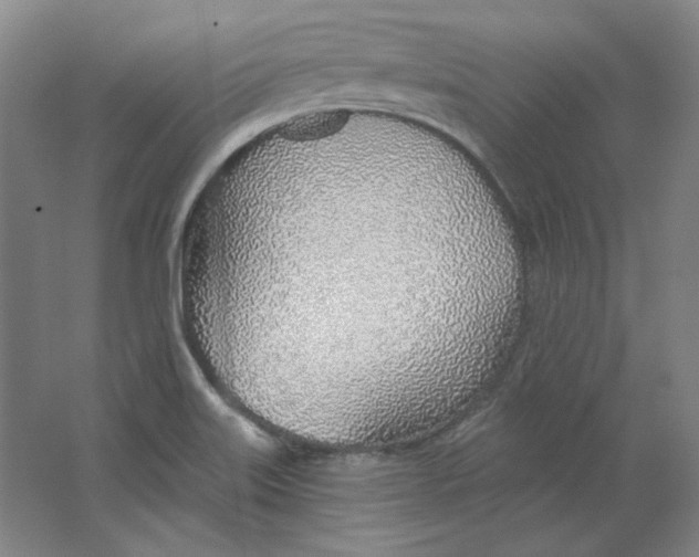 X0000063451515200602101635