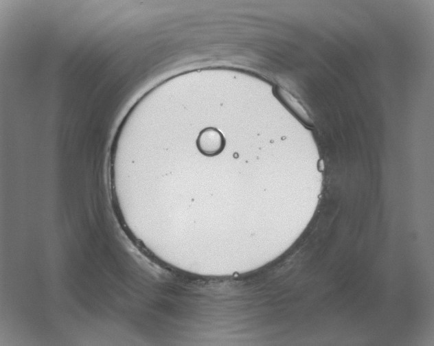 X0000063451516200602101635