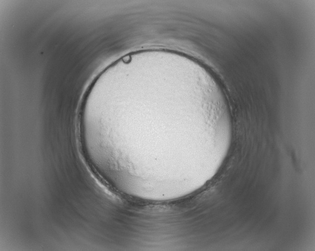 X0000063451517200602101635