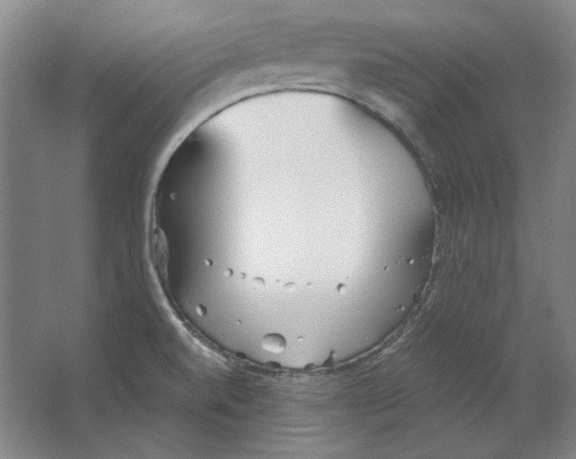 X0000063451520200602101635