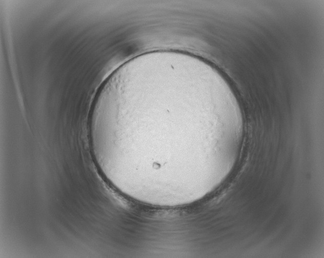 X0000063451521200602101635