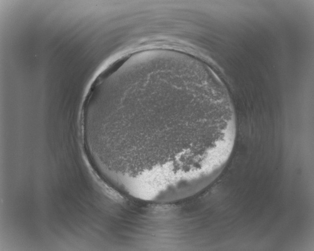 X0000063451522200602101635