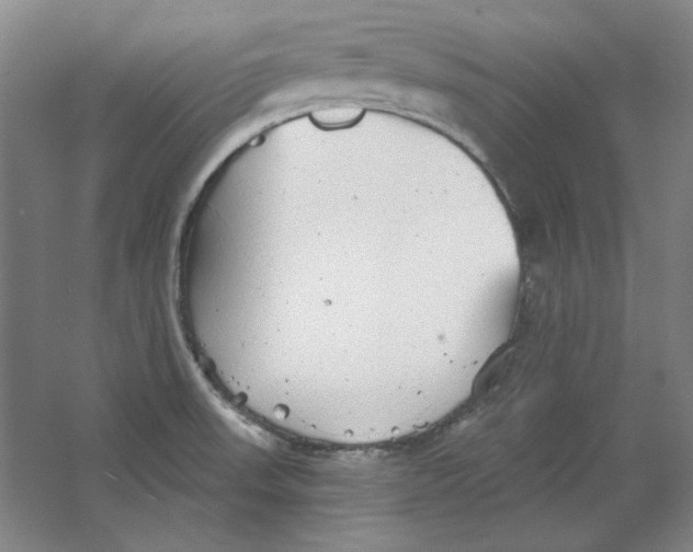 X0000063451523200602101635