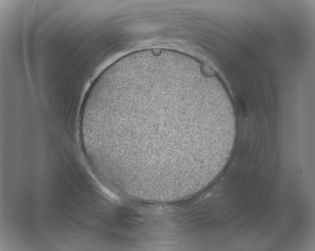 X0000063451525200602101635