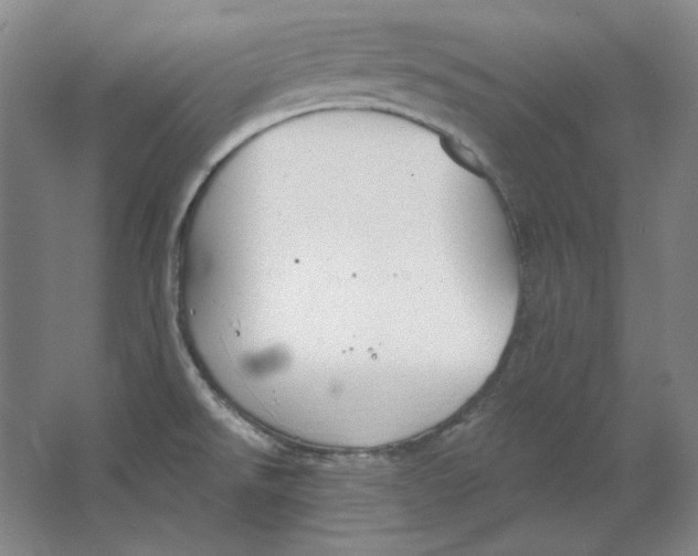 X0000063451526200602101635