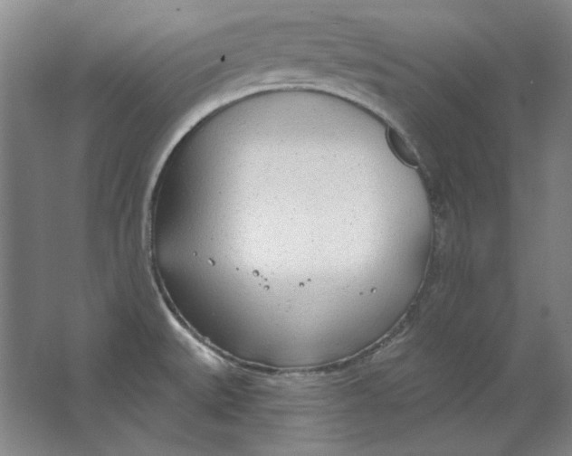 X0000063451527200602101635