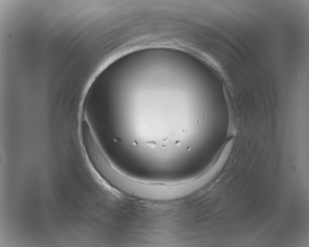 X0000063451528200602101635