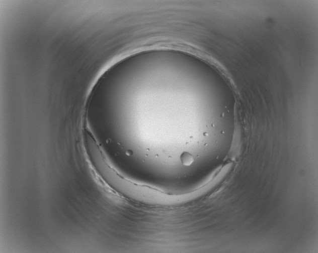 X0000063451530200602101635