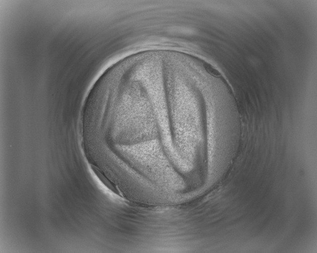 X0000063451531200602101635