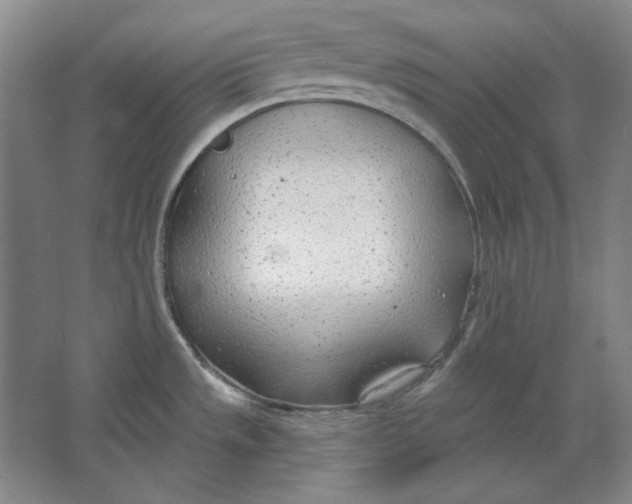 X0000063451533200602101635