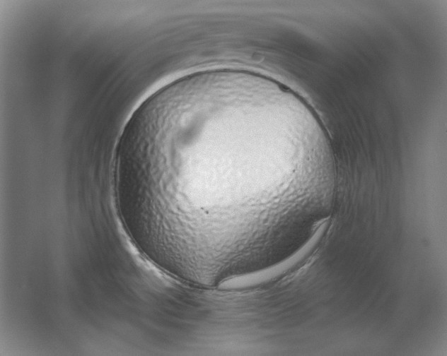 X0000063451534200602101635