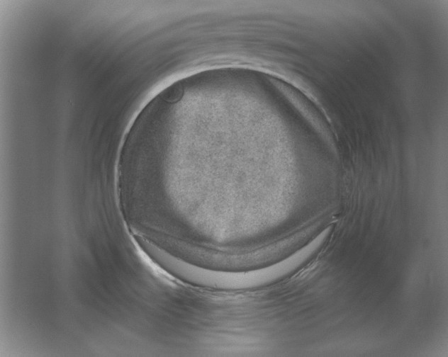 X0000063451535200602101635